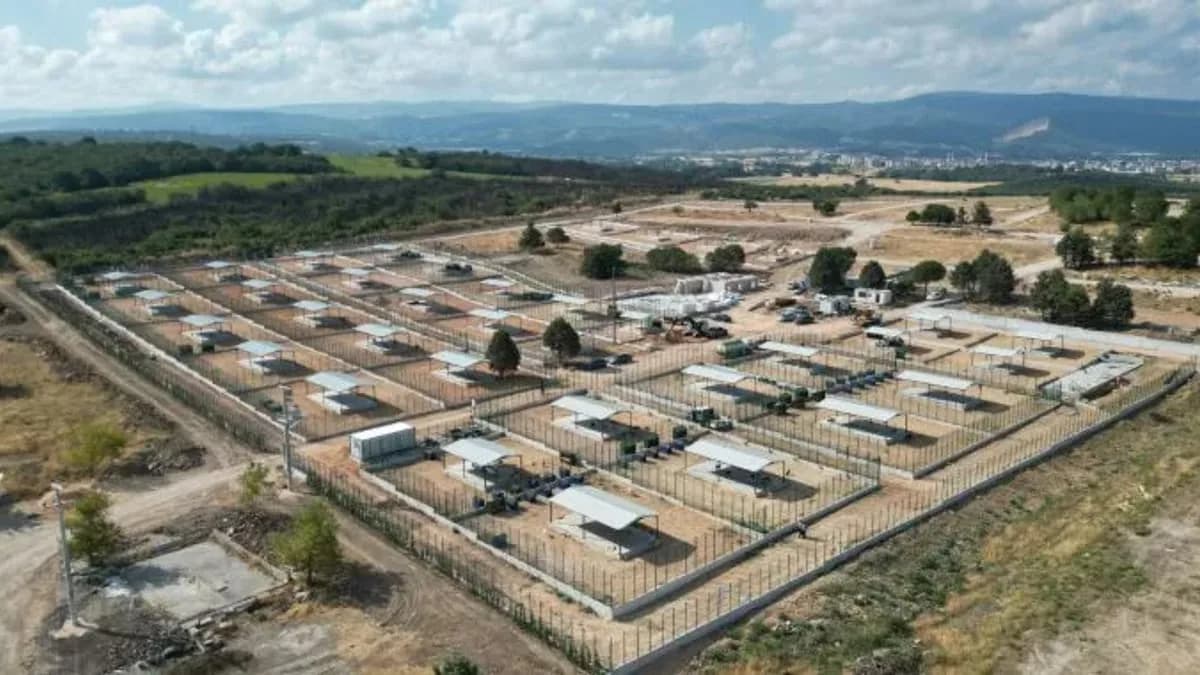 Büyükşehir'den sokak hayvanlarına yeni yuva