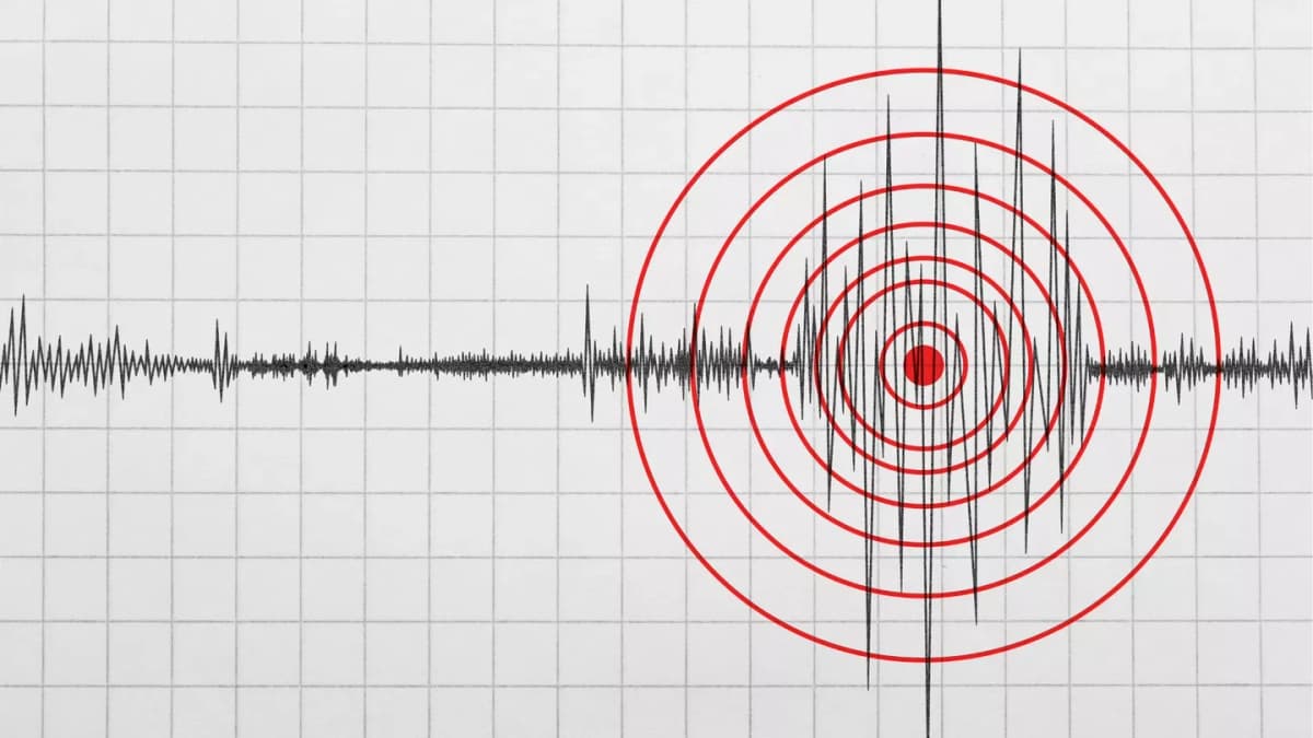 Endonezya’da 7,7 büyüklüğünde deprem: Tsunami uyarısı yapıldı