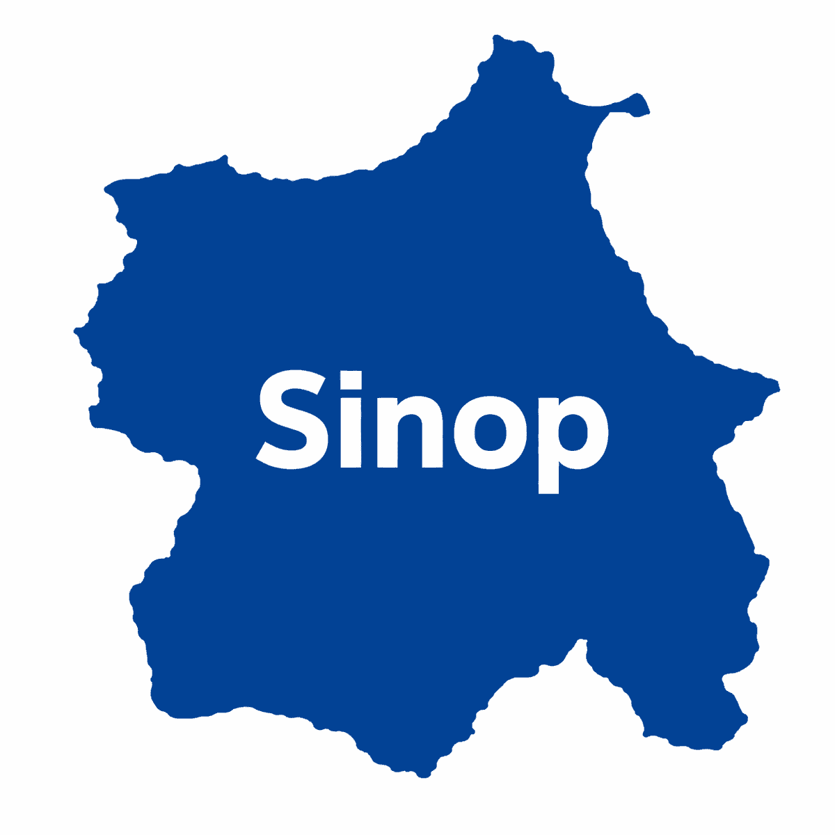 Sinop'ta sahilde İHA parçaları bulundu