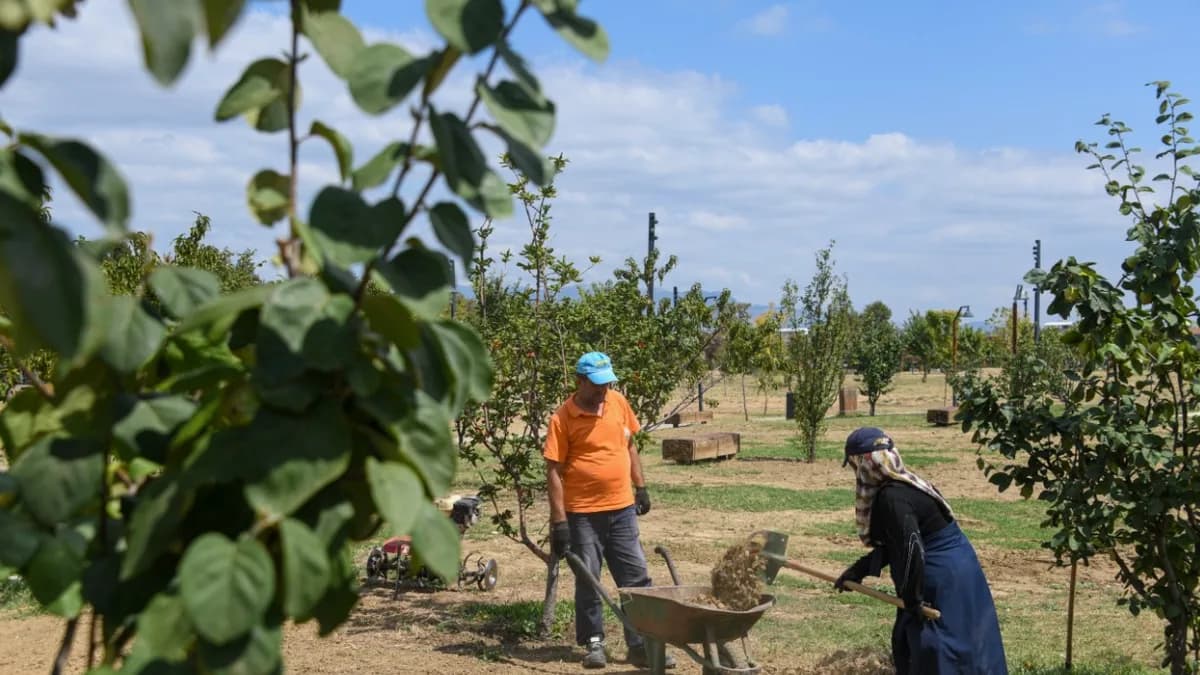 Osmangazi’nin Yeşil Dokusu Güçleniyor