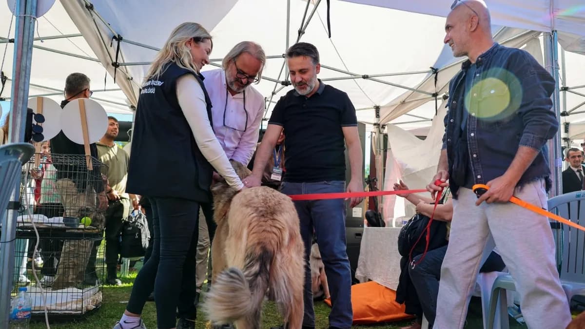 Büyükşehir'den can dostları için yuva seferberliği
