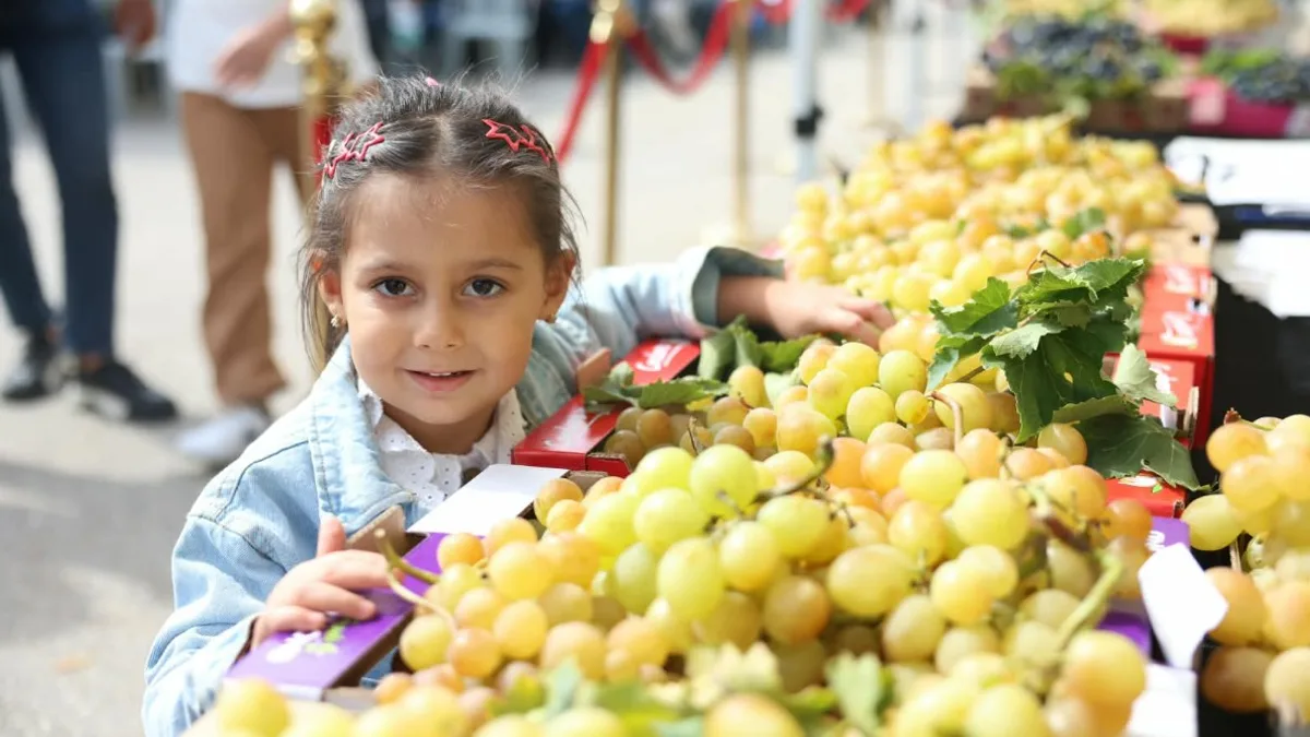 Osmangazi’de Üzüm Bereketi Festivalle Taçlandı3