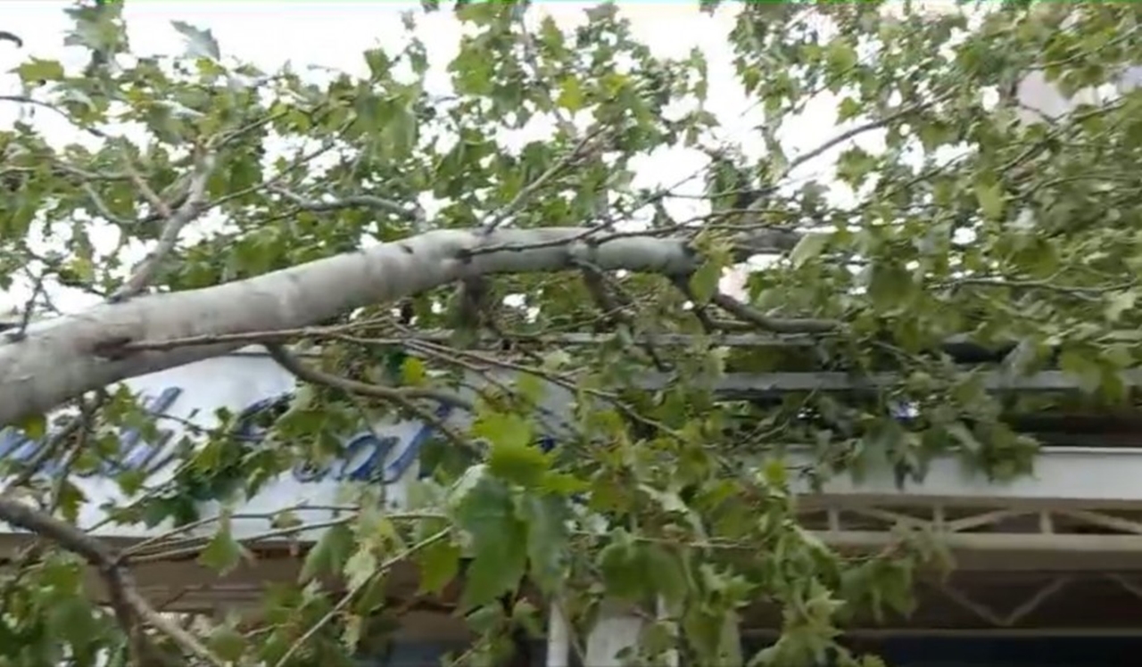 Bursa’da etkili olan rüzgar hayatı olumsuz etkiledi