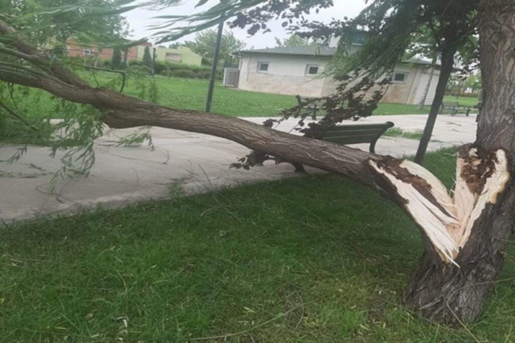 Bursa’da sert esen rüzgâr hayatı olumsuz etkiledi