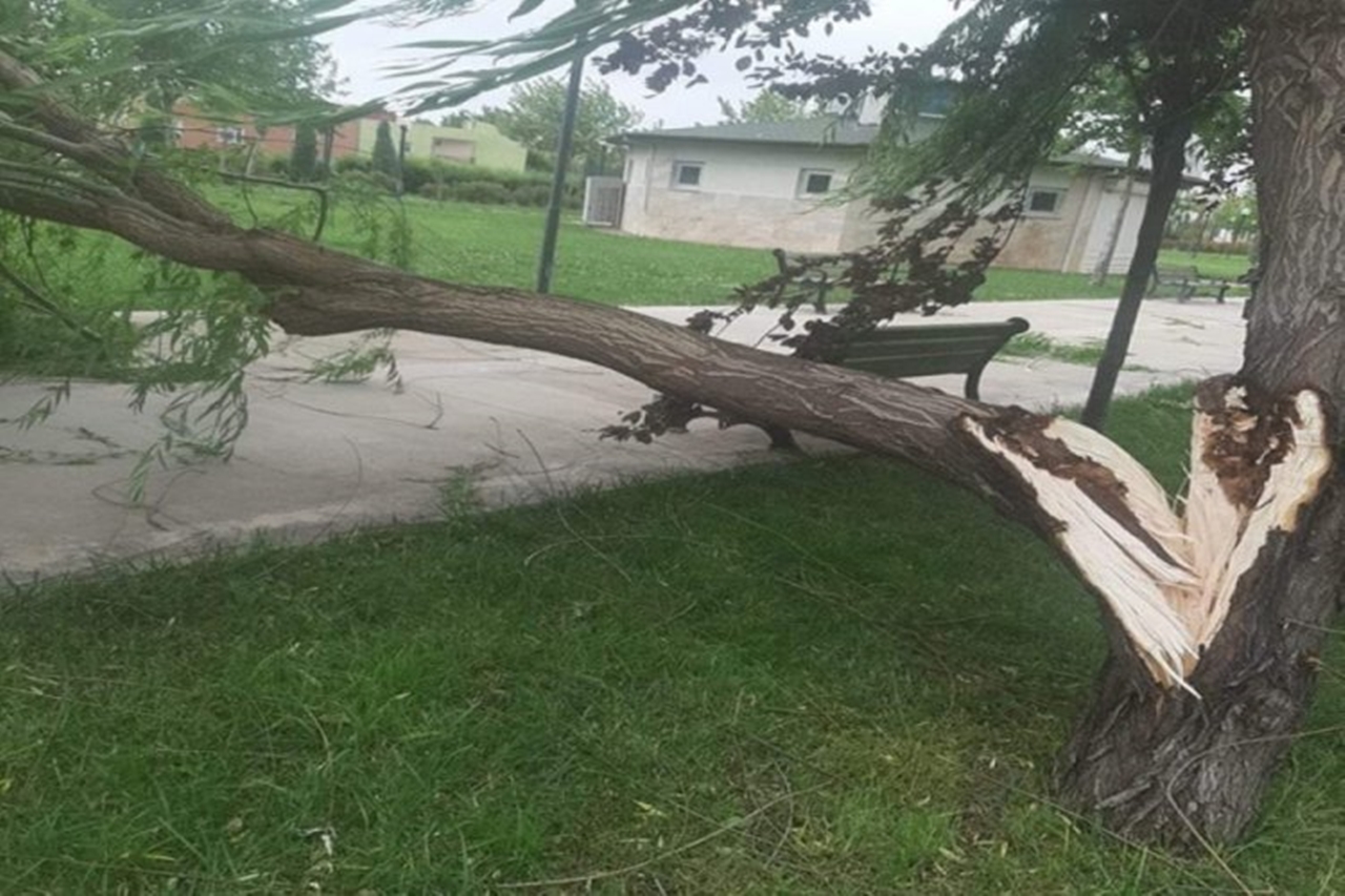 Bursa’da sert esen rüzgâr hayatı olumsuz etkiledi