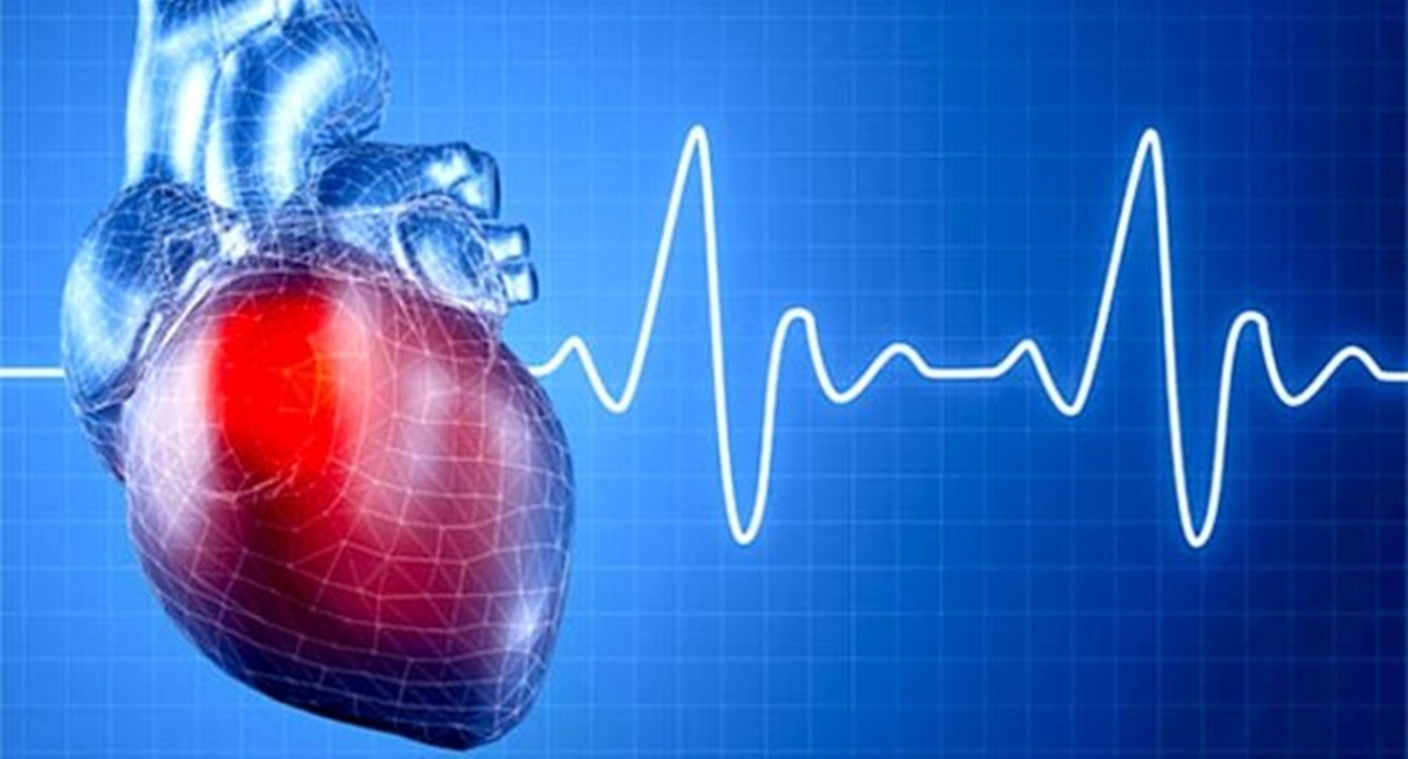 Kalp sağlığını korumak için bazı önemli adımlar şunlardır