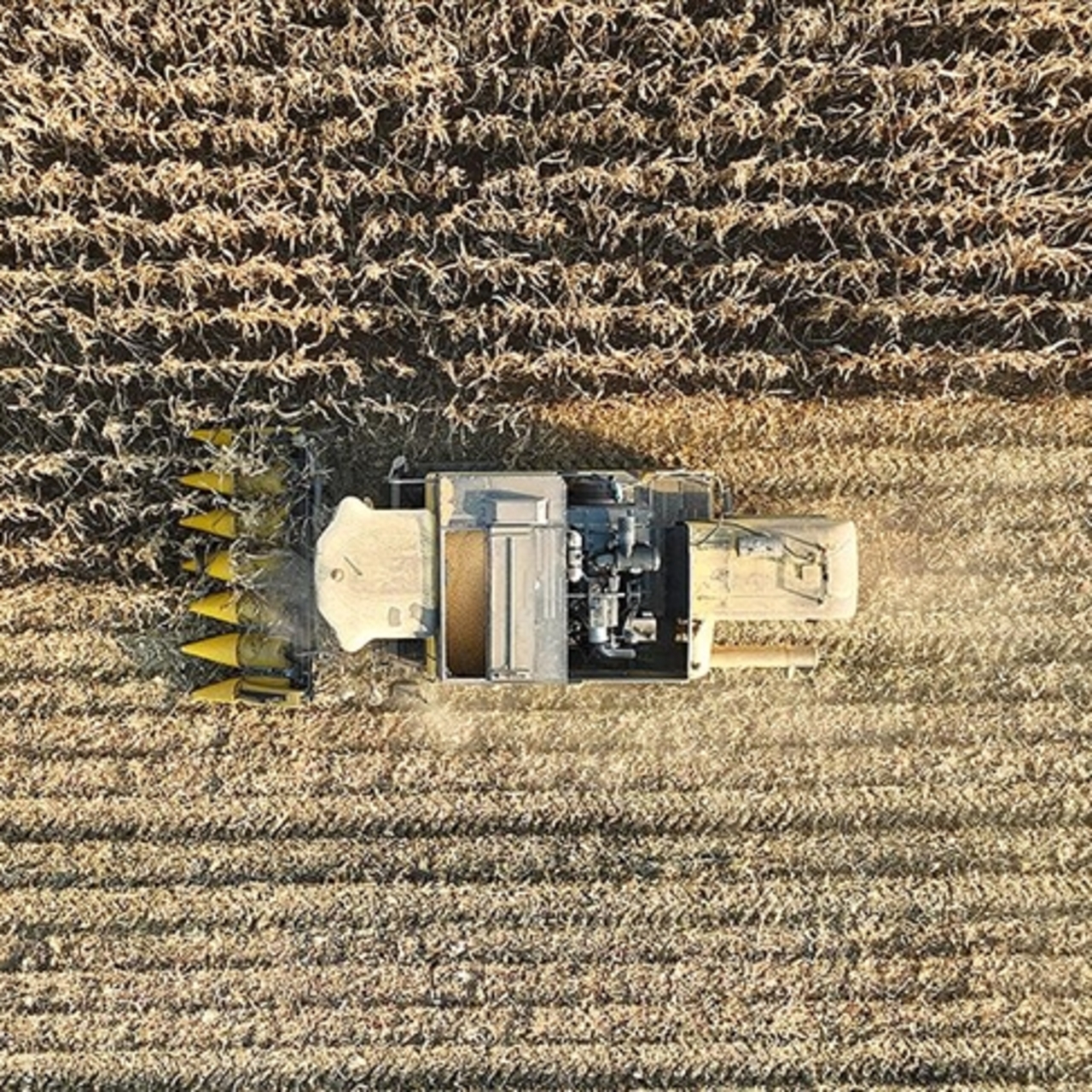 23 yıl aradan sonra ilk kez tarım sayımı yapılacak