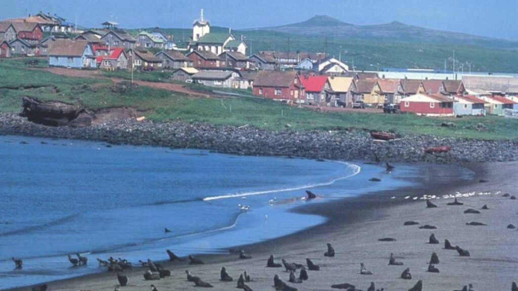 ABD’de tüm ada tek bir fareyi arıyor: Acil durum ilan edildi