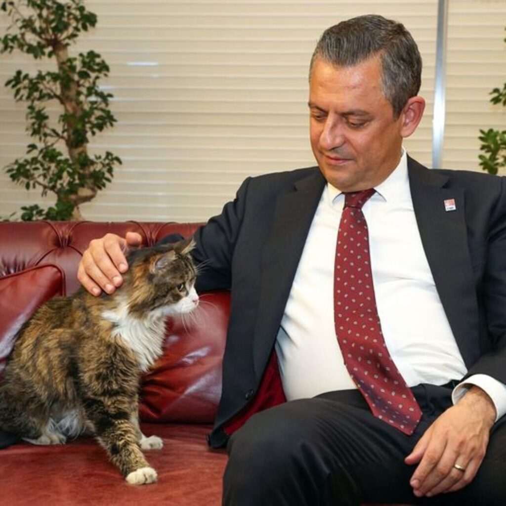 CHP’nin kedisi Şero hayata veda etti