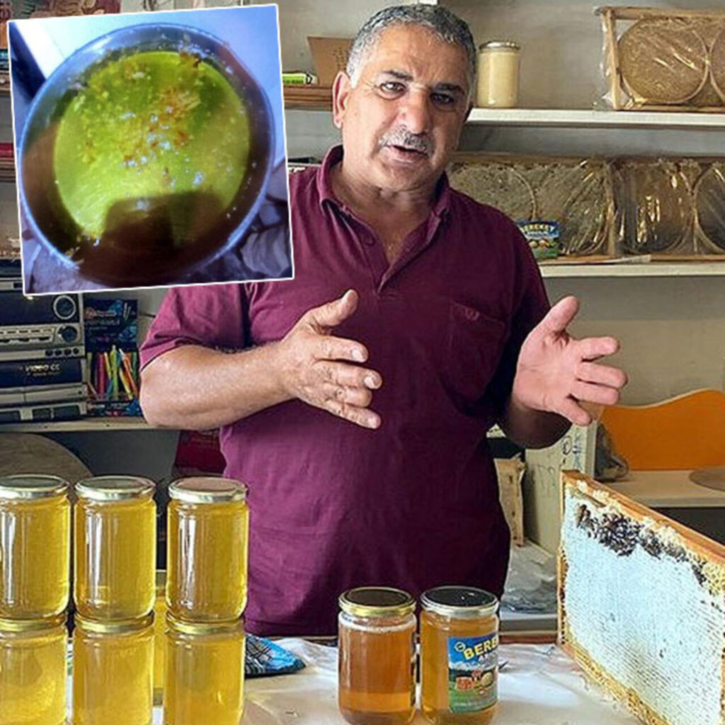 Görünce bakmaya doyamadı! İşte yeşil balın sırrı!