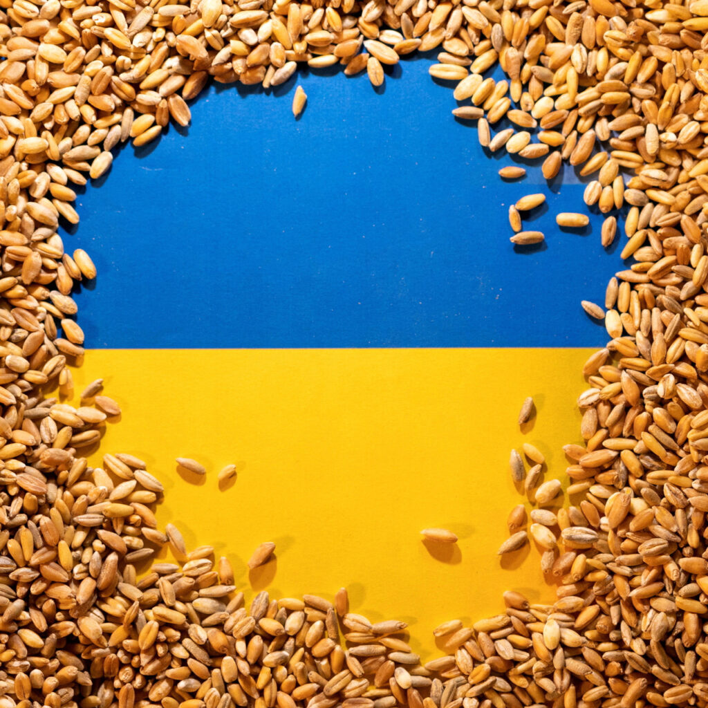 ‘İHA karşılığı buğday’ iddiası yalanlandı