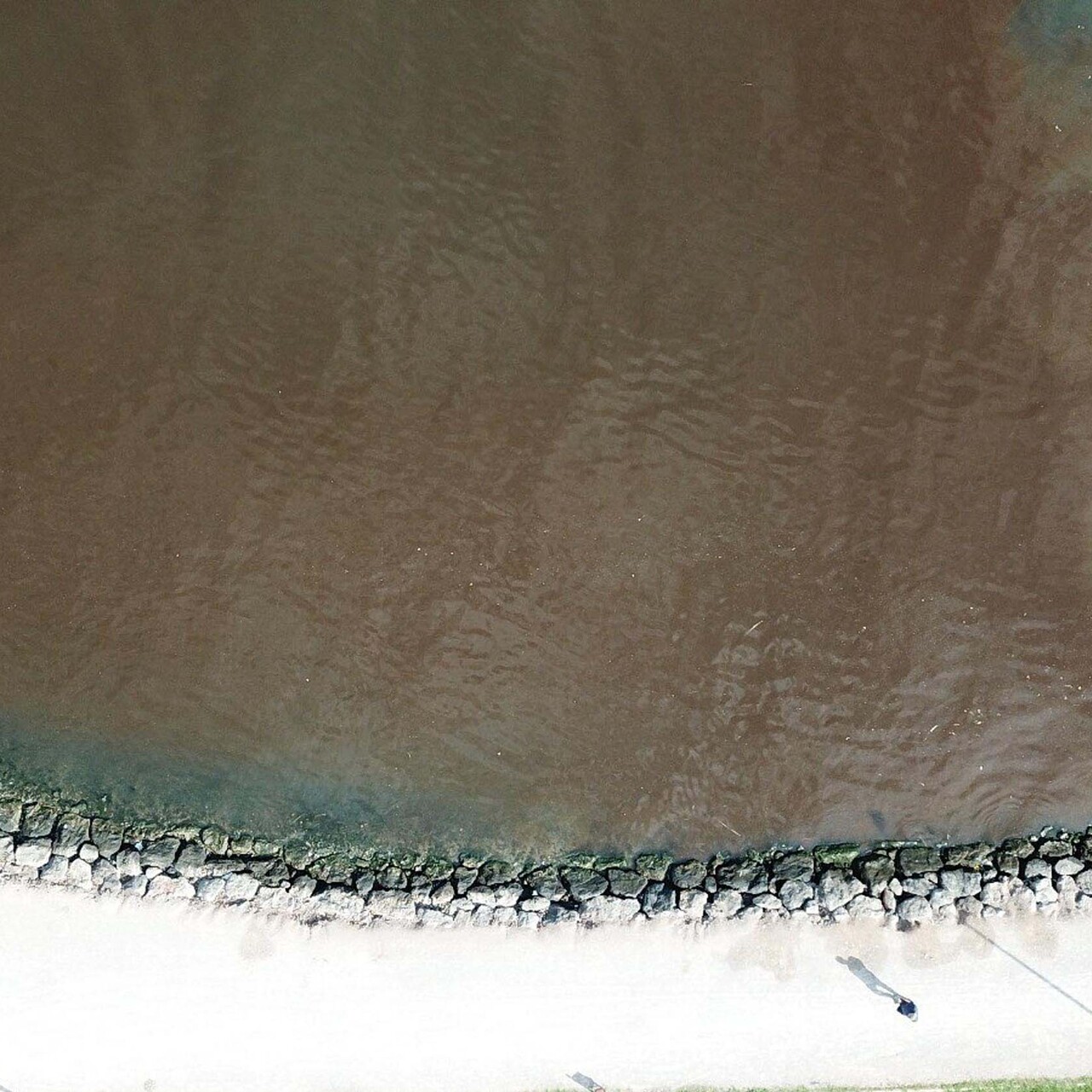 İzmir Körfezi bu kez de kırmızıya döndü: Uzmanlar nedenini açıkladı