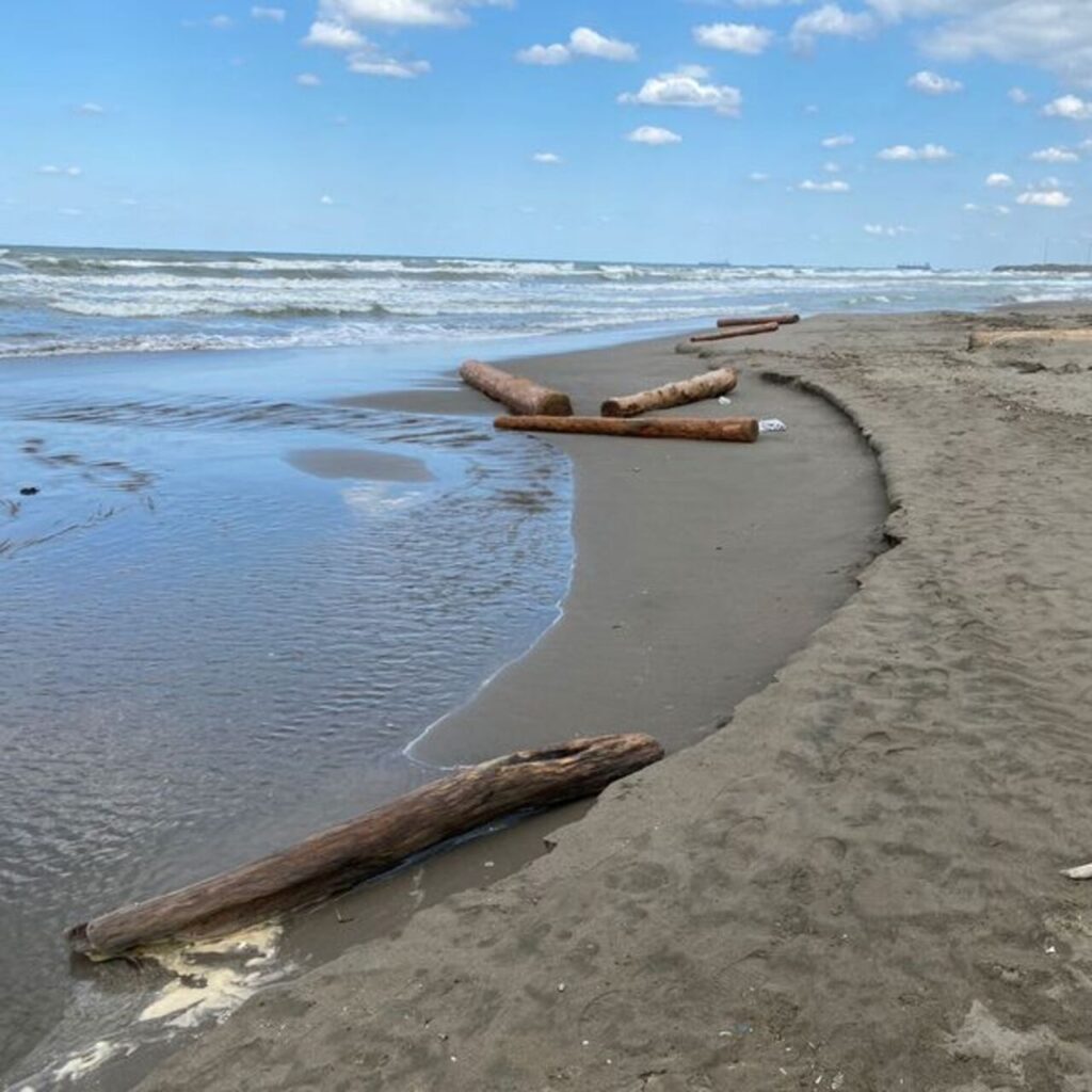 Karadeniz’deki afetler: Isınan deniz suyu sel riski oluşturuyor