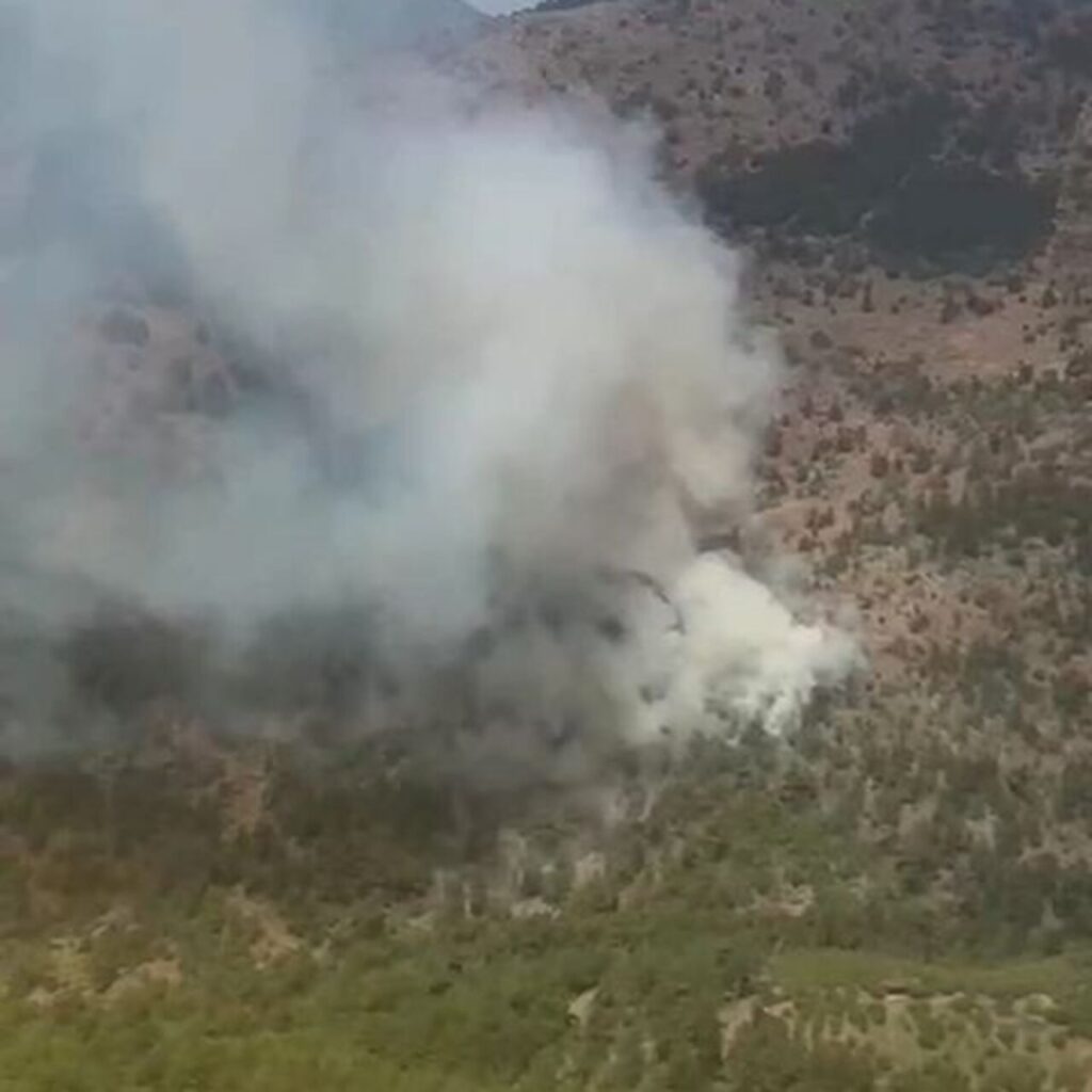 Sarp arazide orman yangını!
