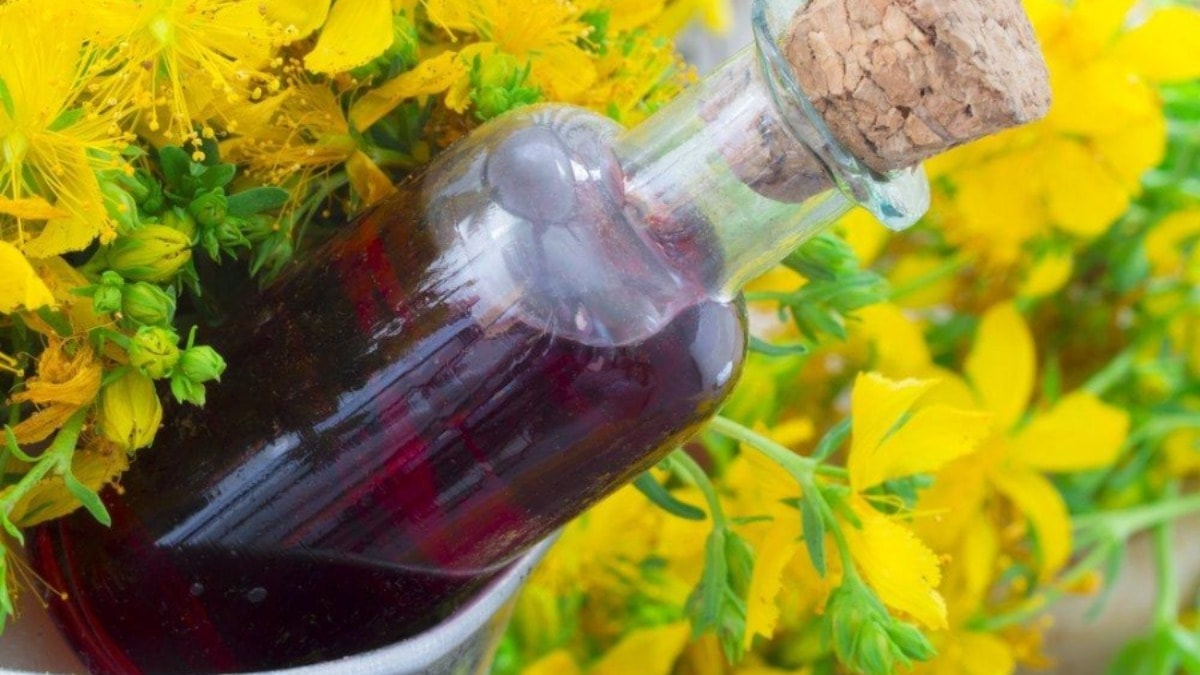 1 damlasını saça sürmek yetiyor! Kuruluğu kesiyor, canlılık katıyor…