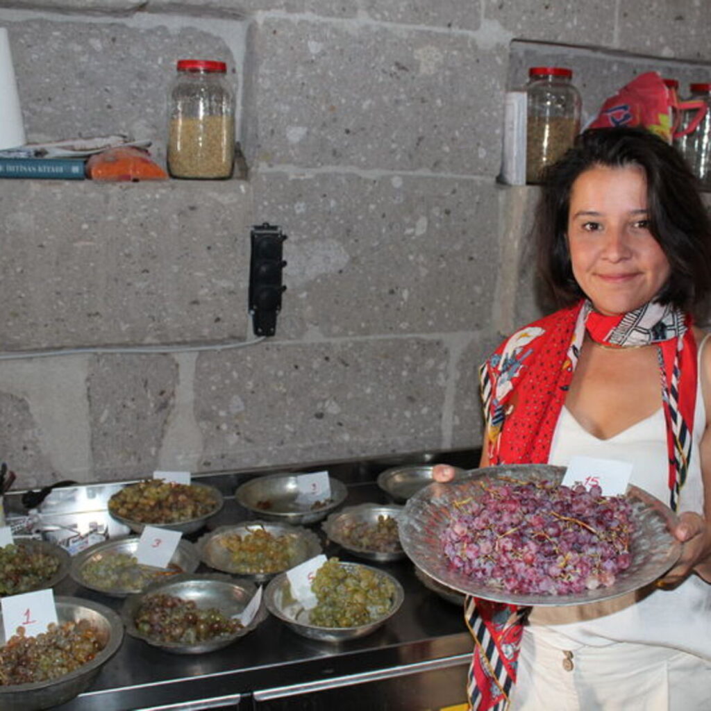 1432 çeşit üzümün 63’ü kullanılıyor