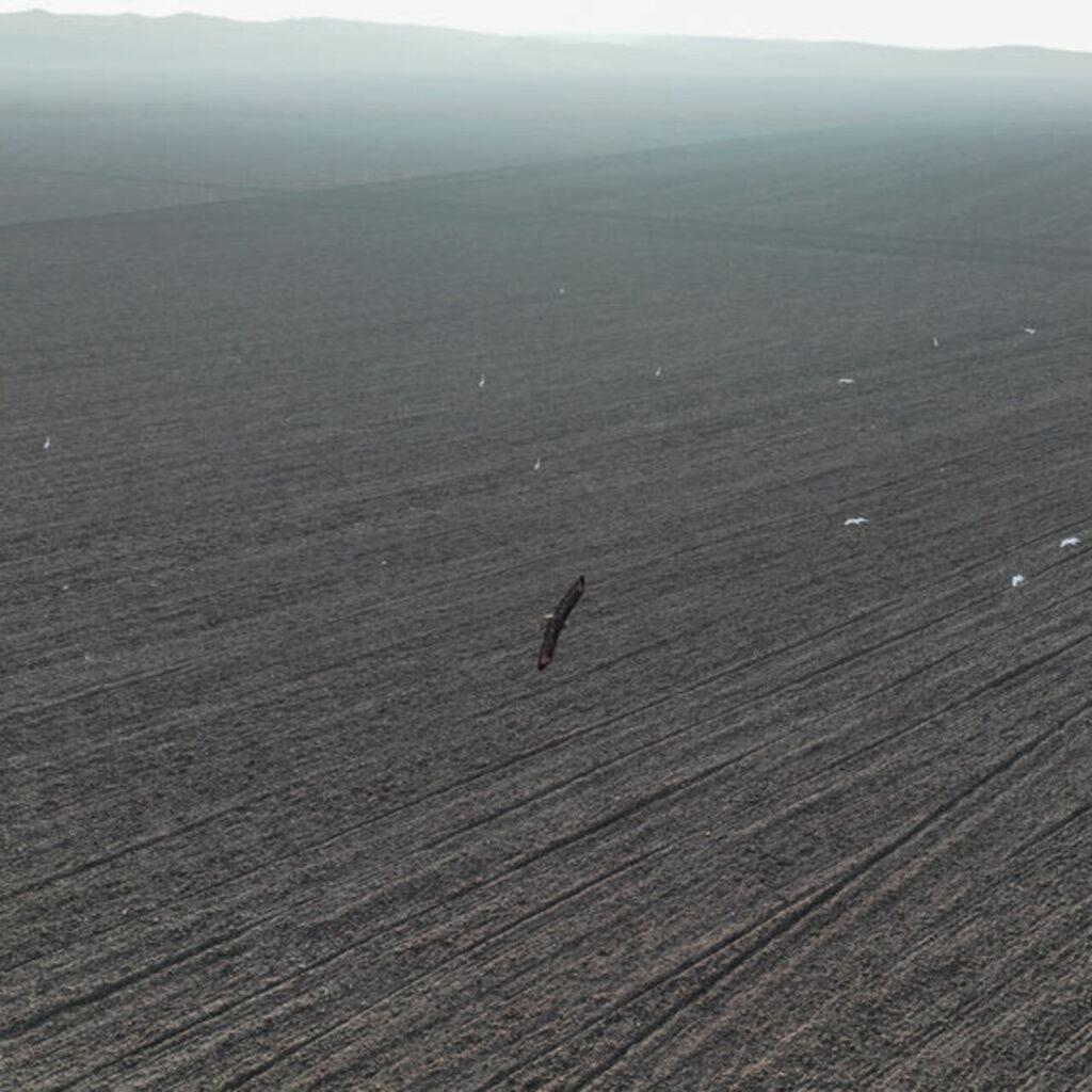 240 gölün 186’sı kurudu mu?