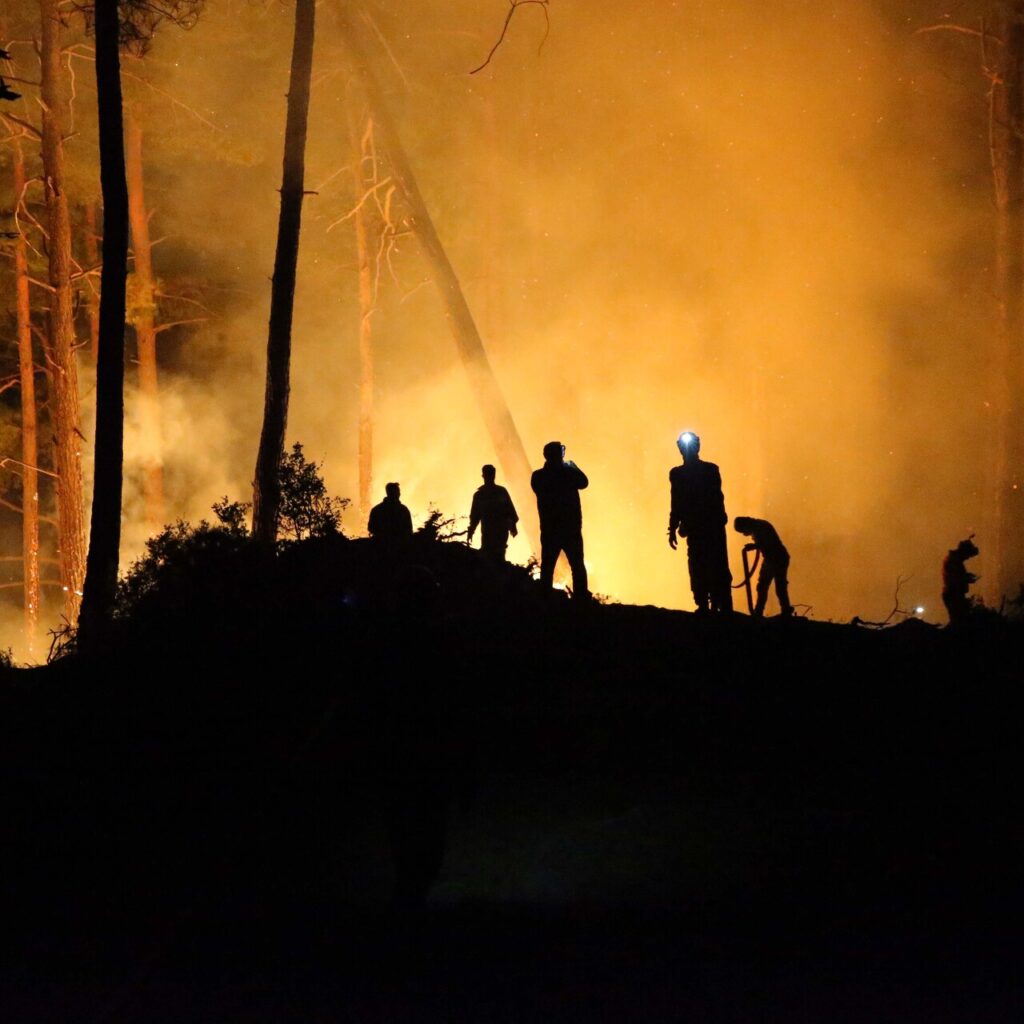 4 noktada orman yangını: Söndürme çalışmalarında son durum