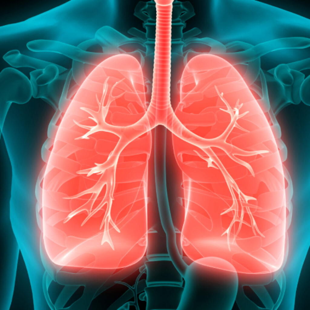 Akciğerler için 18 kritik uyarı!