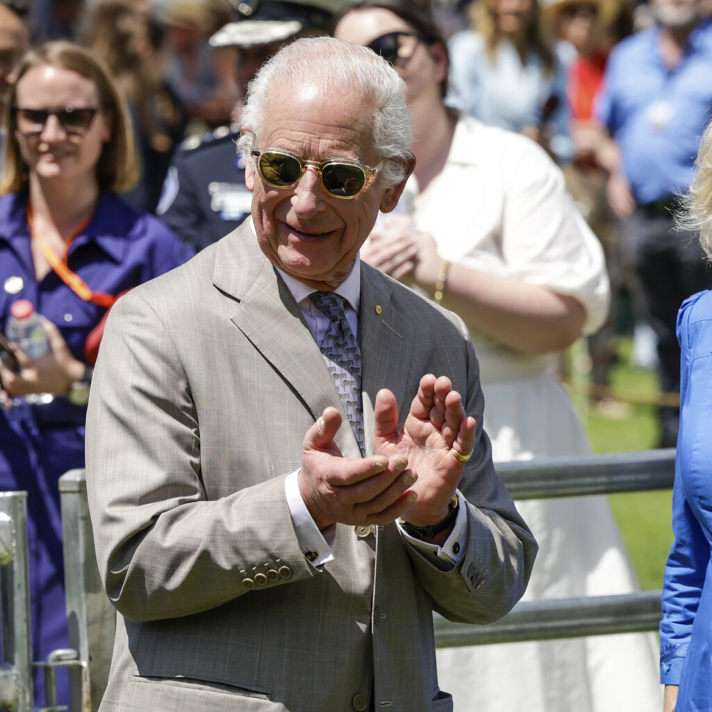 Alpaka Kral Charles’a hapşırdı