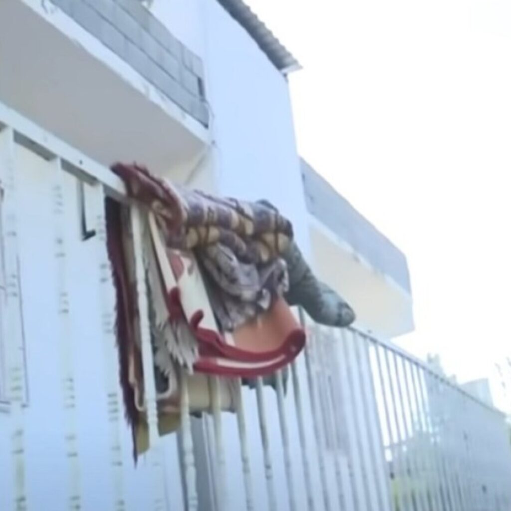 Balkondaki halılarla ilgili sır perdesi aralandı!