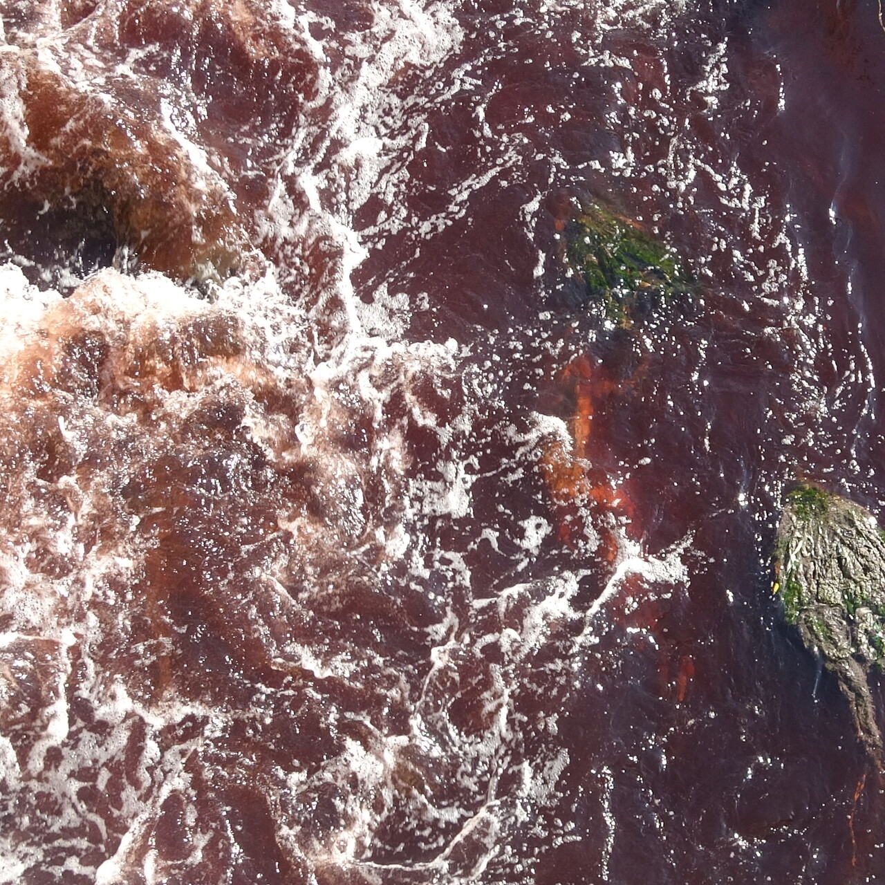 Bursa Ovası’nı besleyen dere kırmızıya büründü: “Kirli suyla sulanmış ürünleri yiyoruz”