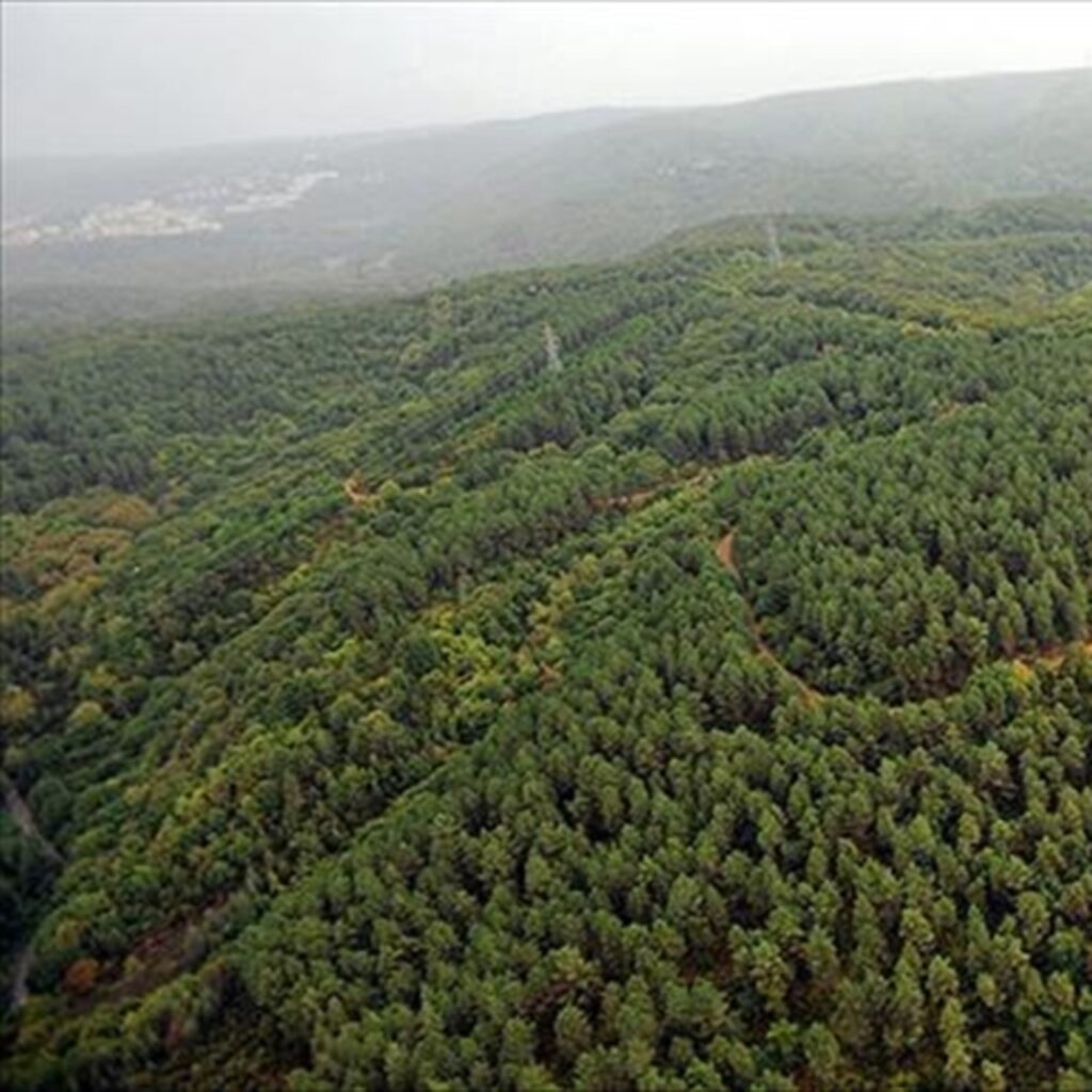 Çanakkale’de ormanlara giriş yasağı uzatıldı