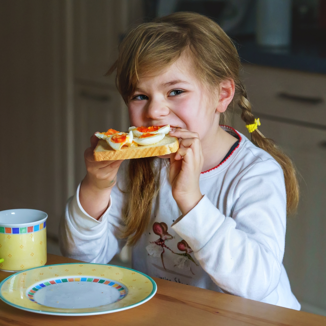 Çocukların gelişiminde yumurta ne kadar önemli?