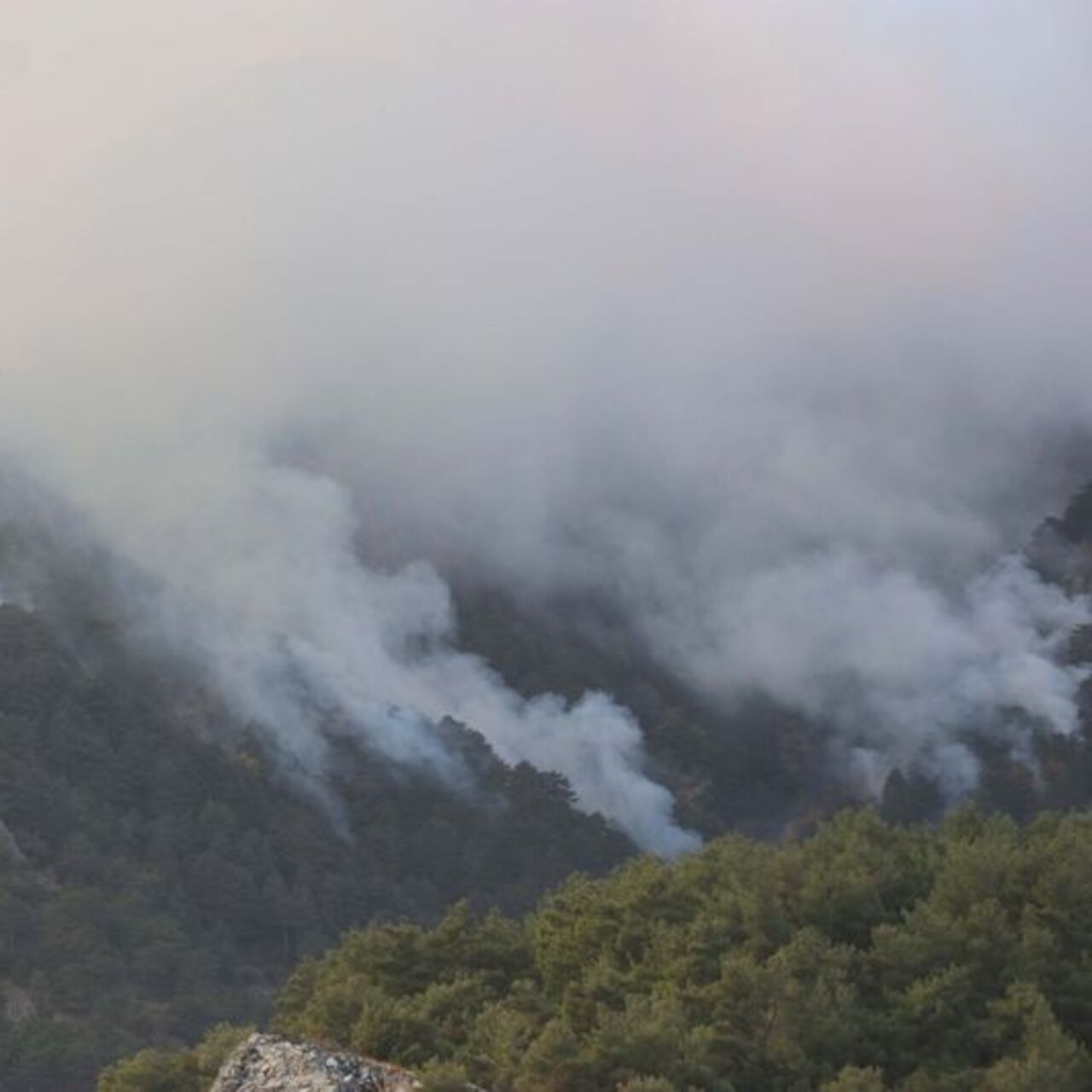 Denizli’de orman yangını 3’üncü gününde