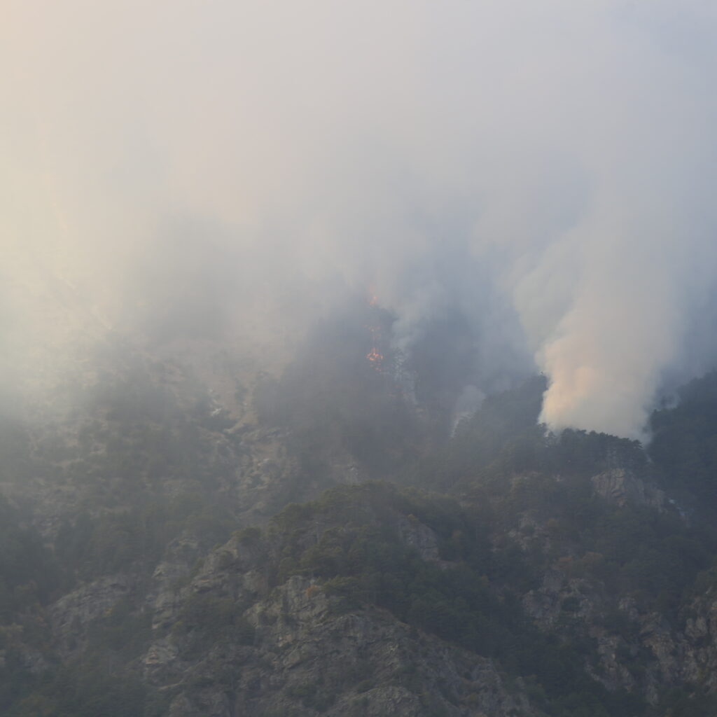 Denizli’deki orman yangını 4’üncü gününde