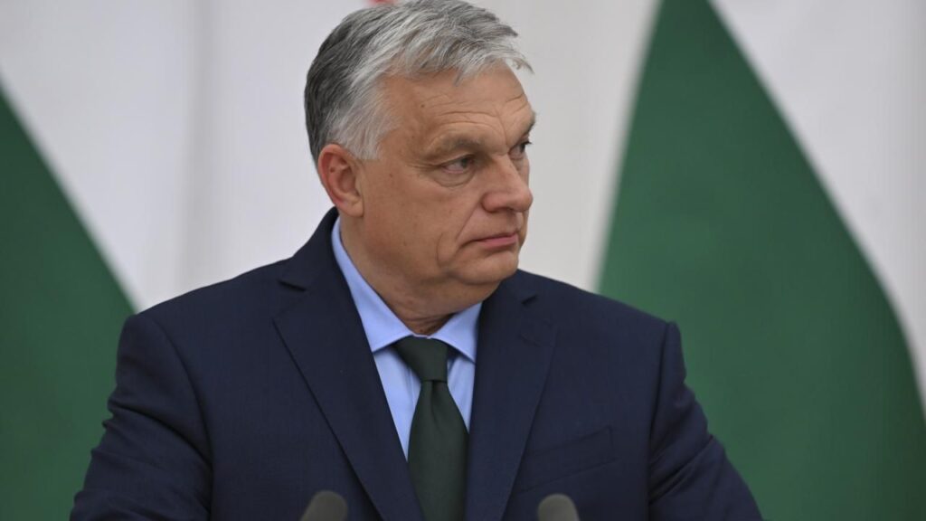 Gürcistan seçimlerine AB’den yakın takip: Orban’ın ziyareti tartışma yarattı