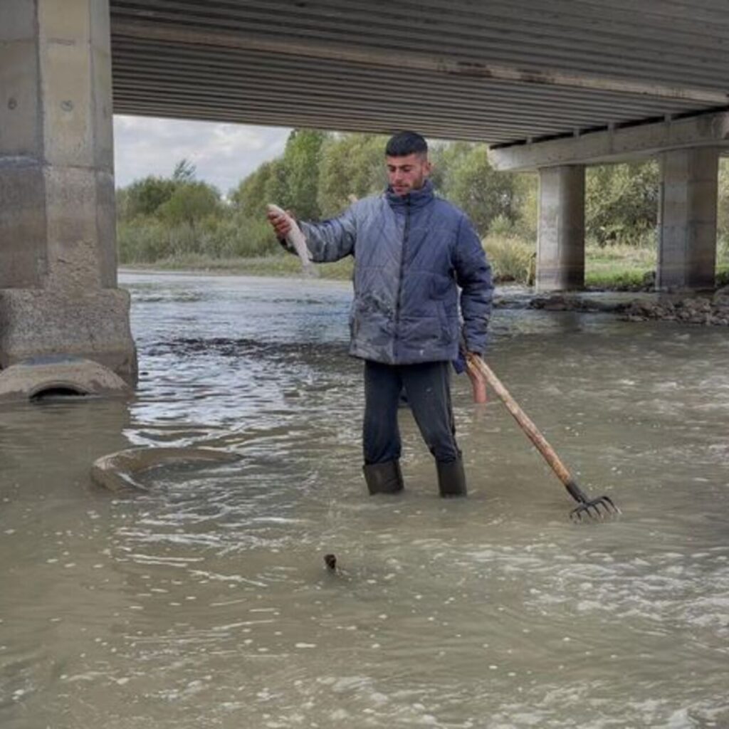 Karasu’da da balık ölümleri