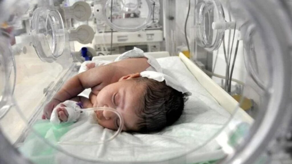 Kemal Memişoğlu”ndan Yenidoğan Çetesi’ açıklaması: Devlet olarak peşindeyiz