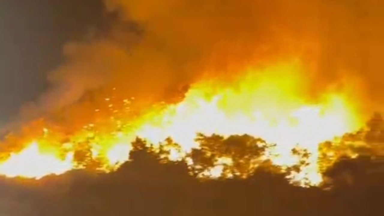 Marmaris’te orman yangını: Ekiplerin müdahalesi sürüyor!