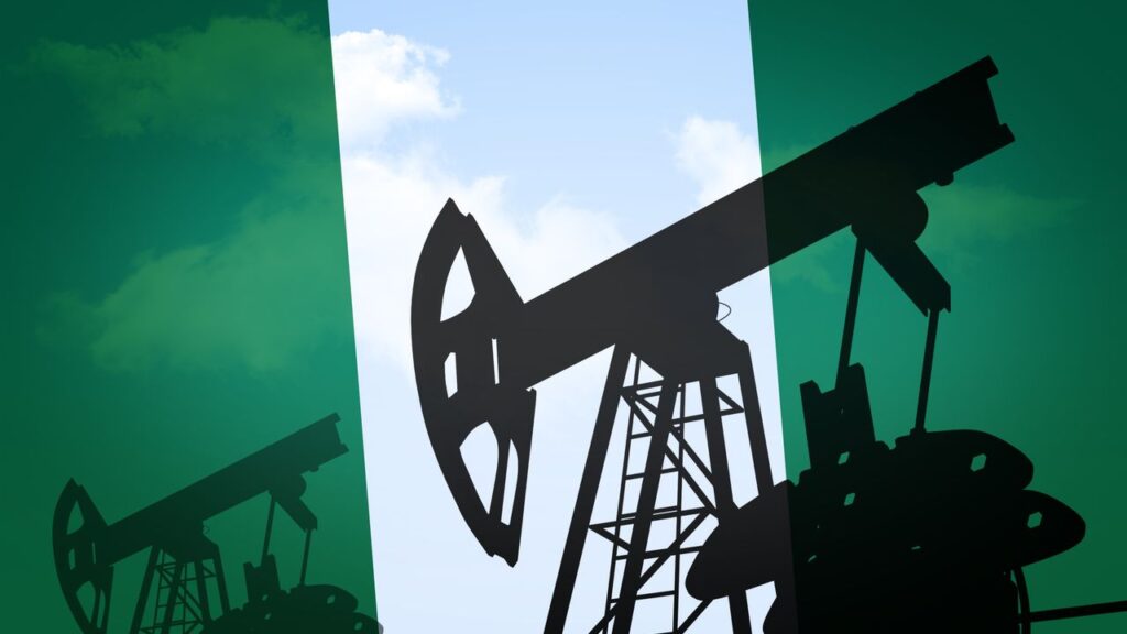 Nijerya doları bıraktığını resmen duyurdu