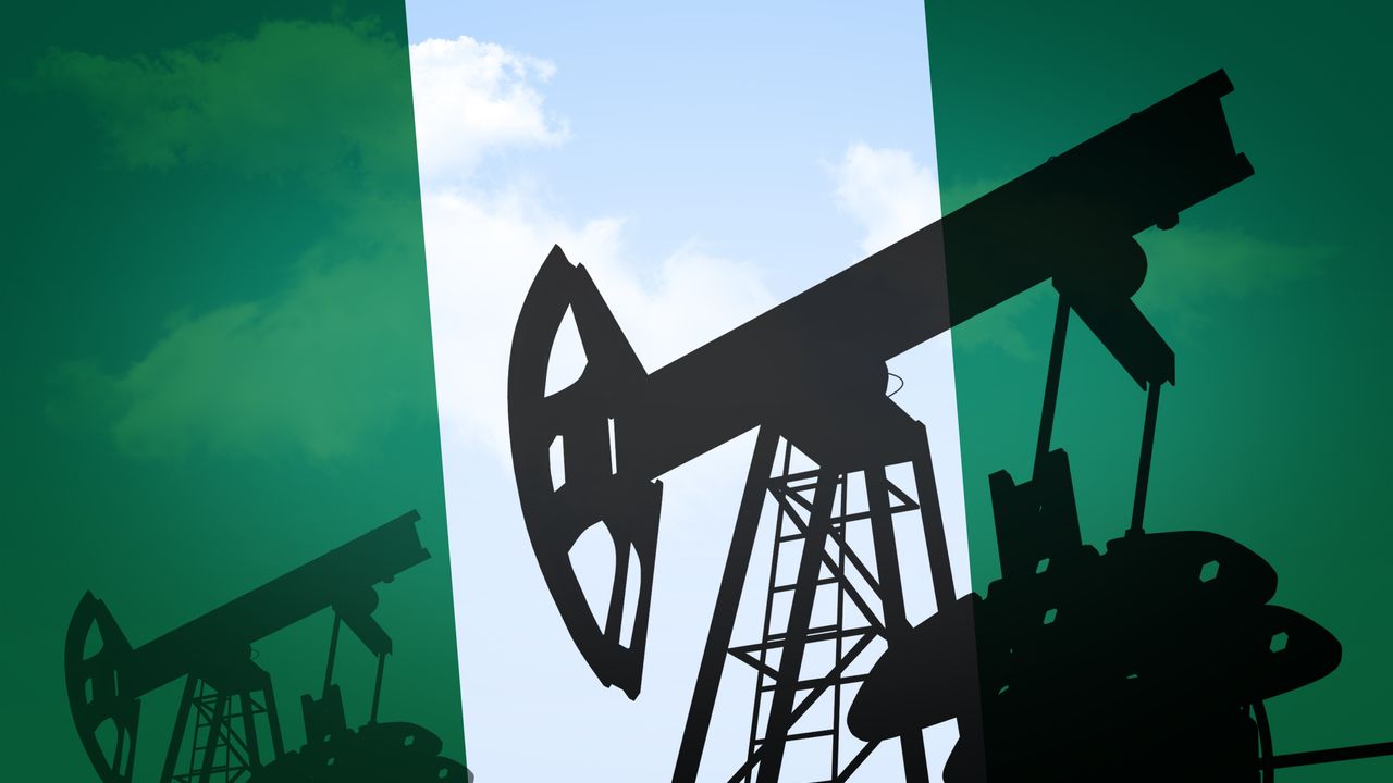 Nijerya doları bıraktığını resmen duyurdu