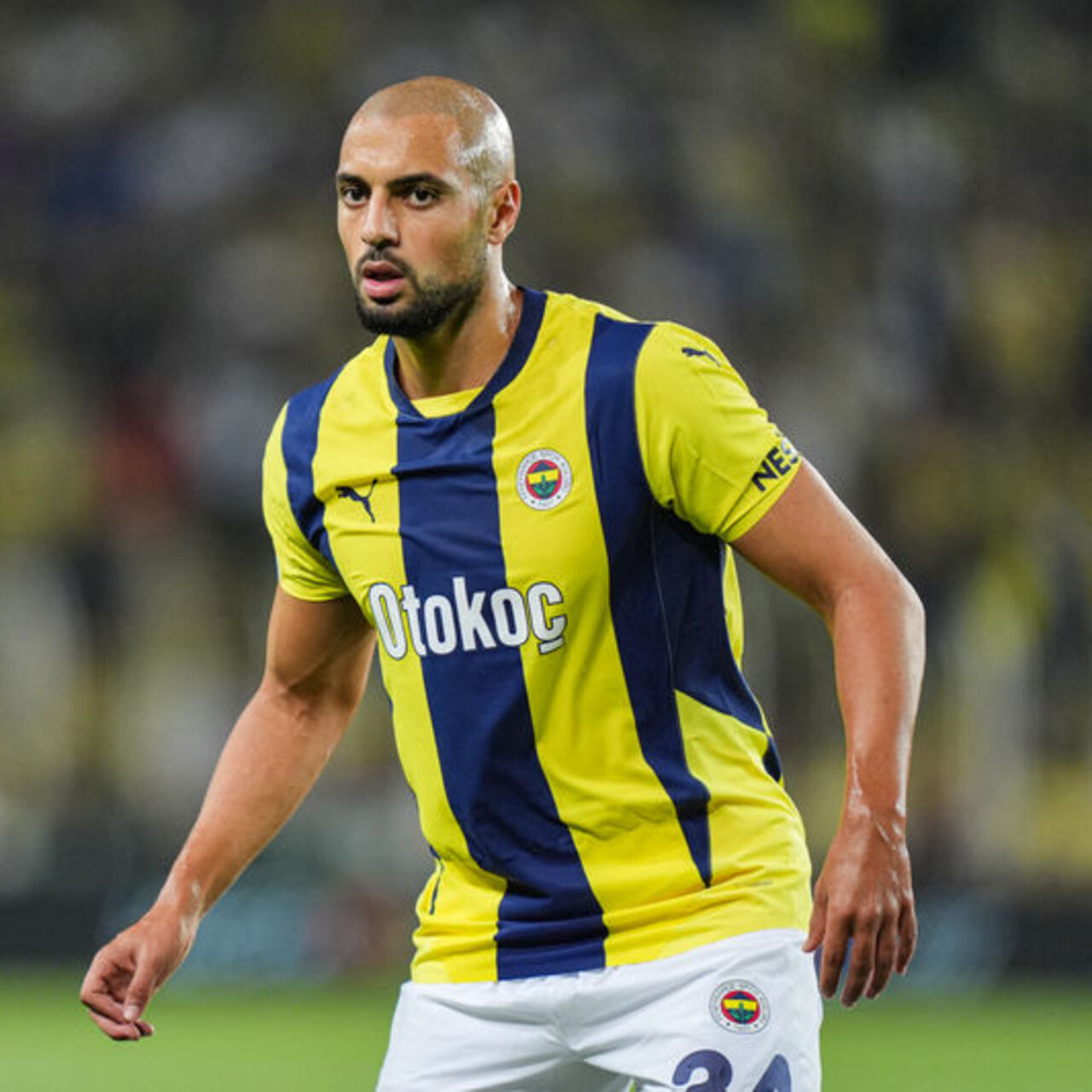 Umarım kaybederler!