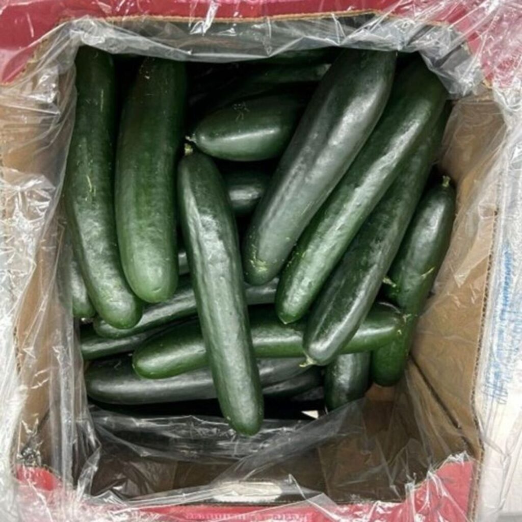 ABD’de salatalıklarda salmonella alarmı!