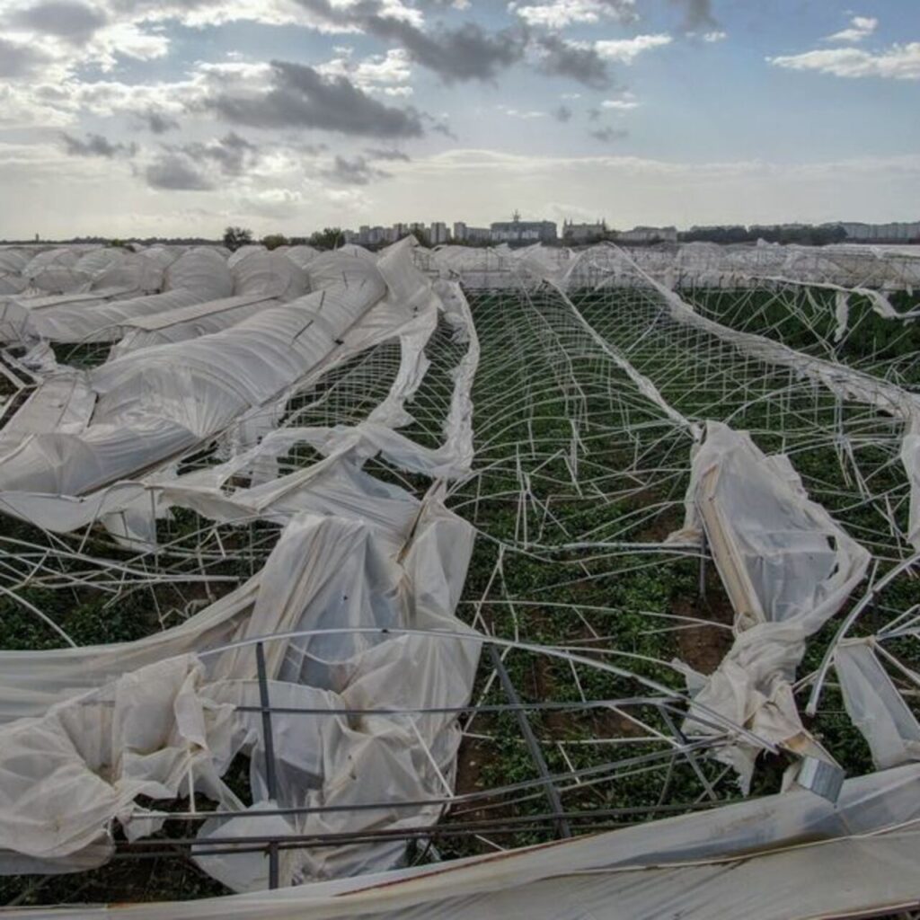 Antalya’da seraları hortum vurdu