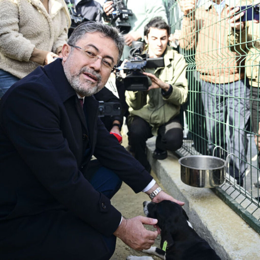 Bakan Yumaklı, "Zeytin" adı verilen köpeği sahiplendi