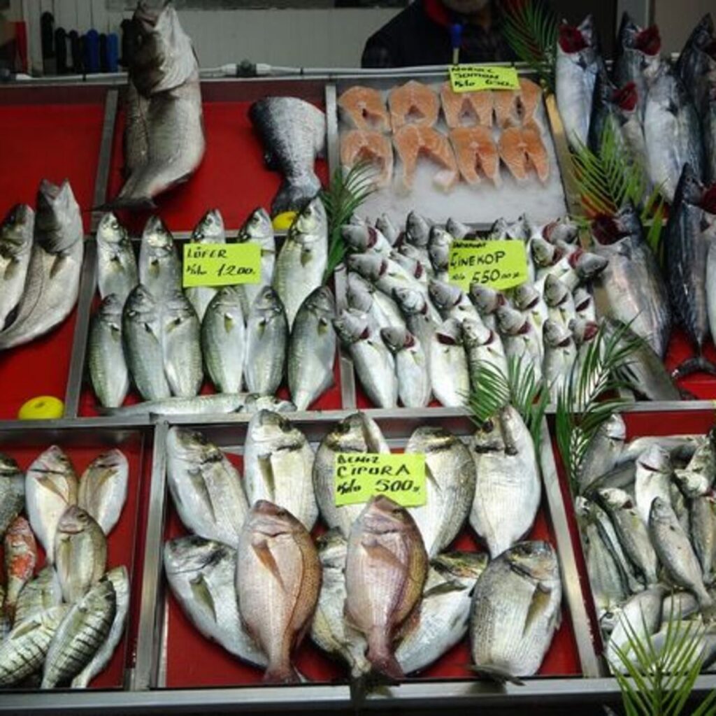 Denizlerin prensi ‘lüfer’in fiyatı cep yakıyor