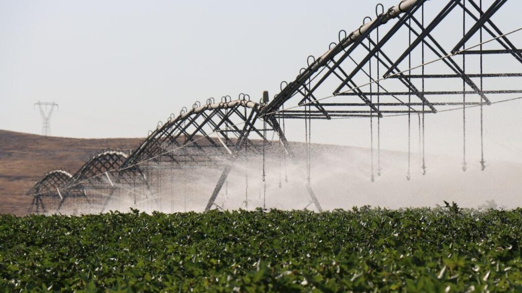 GAP enerji hedeflerine yaklaşıyor! Güneydoğu’ya 35 yılda 1,4 trilyon liralık yatırım