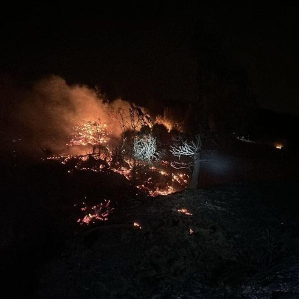 Hatay’daki orman yangınında 5 hektar alan tahrip oldu