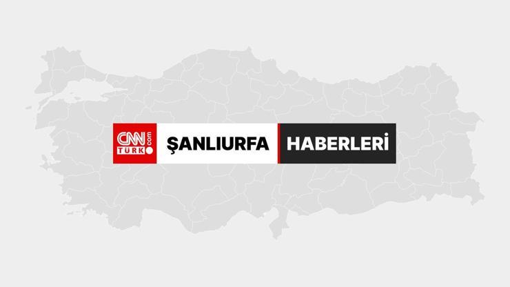 İnsanlık tarihine ışık tutan Karahantepe, yabancı profesörleri büyüledi