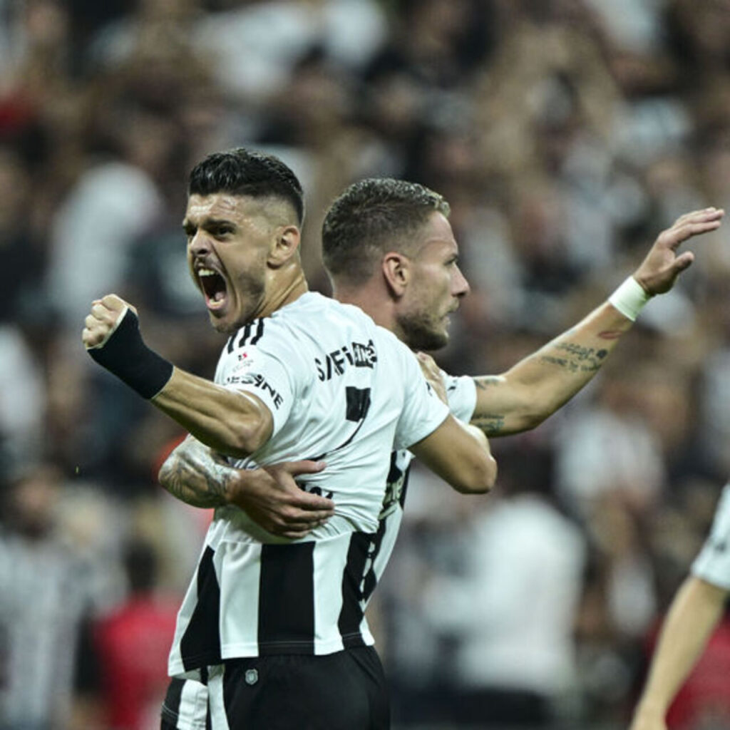 Milli arada yara saracak