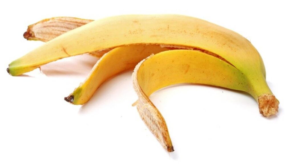 Resmi yazışmalar sızdı, bakanın en büyük korkusu ortaya çıktı