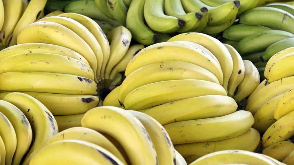 Muzu bu saatte yemek bağırsakları tahriş ediyor! İşte muz yemenin ideal saati…