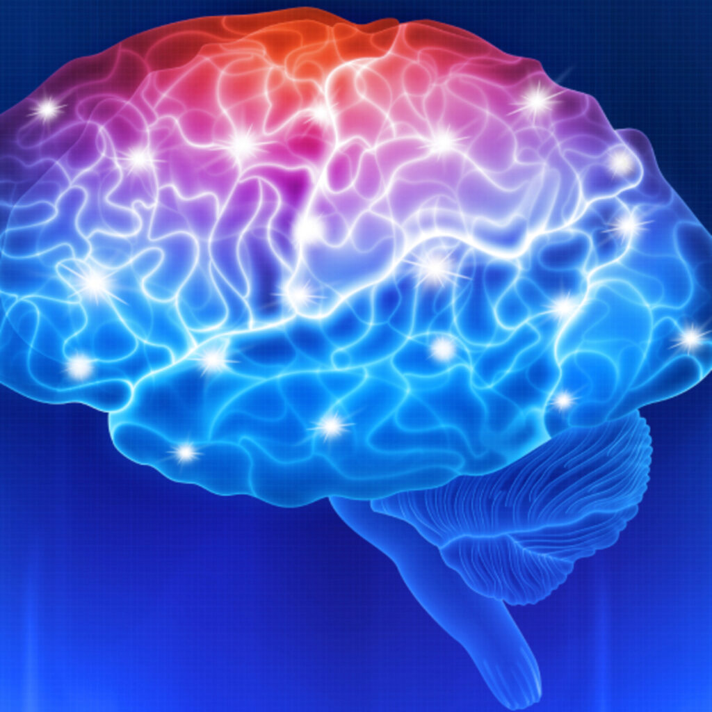 Sağlıklı beyin için 6 altın kural!