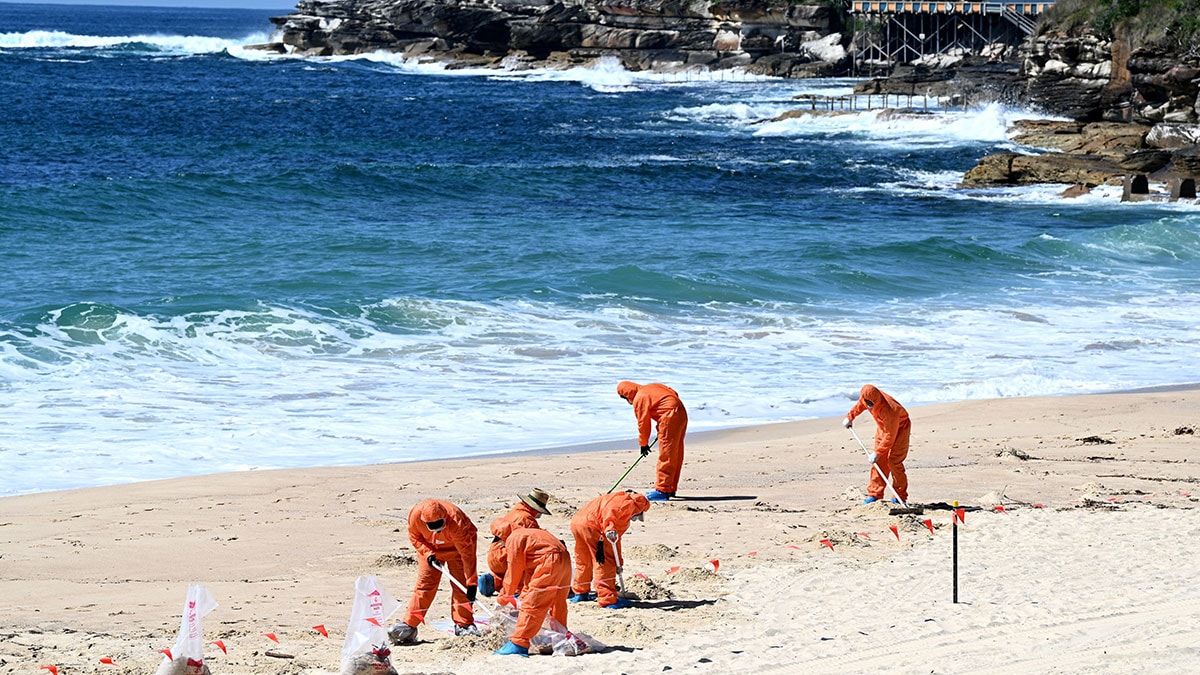 Sahillere vuran ‘zehirli’ siyah topların gizemi çözüldü