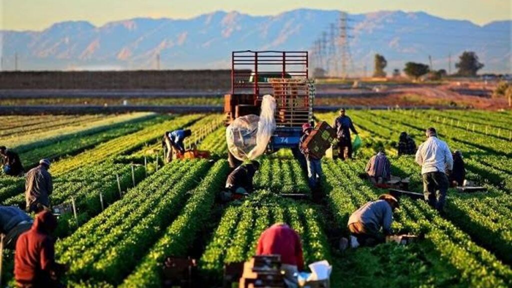 Tarım dışı istihdam ön plana çıkıyor